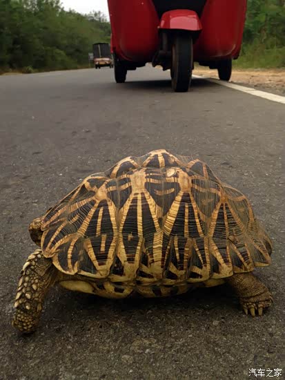肉车也疯狂三蹦子奇葩自驾斯里兰卡