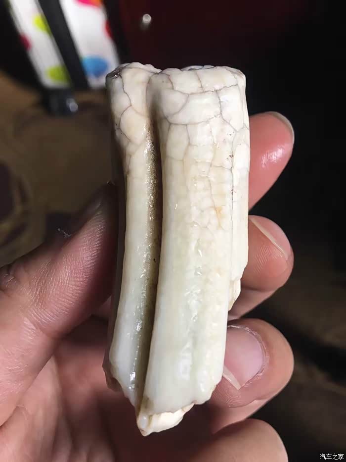 我与逍客的故事一路向西20