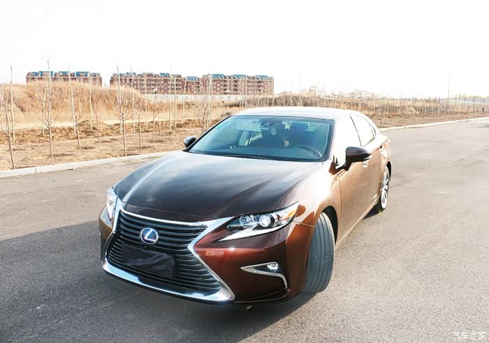 也许选择你就是一种巧合lexuses300h琥珀色