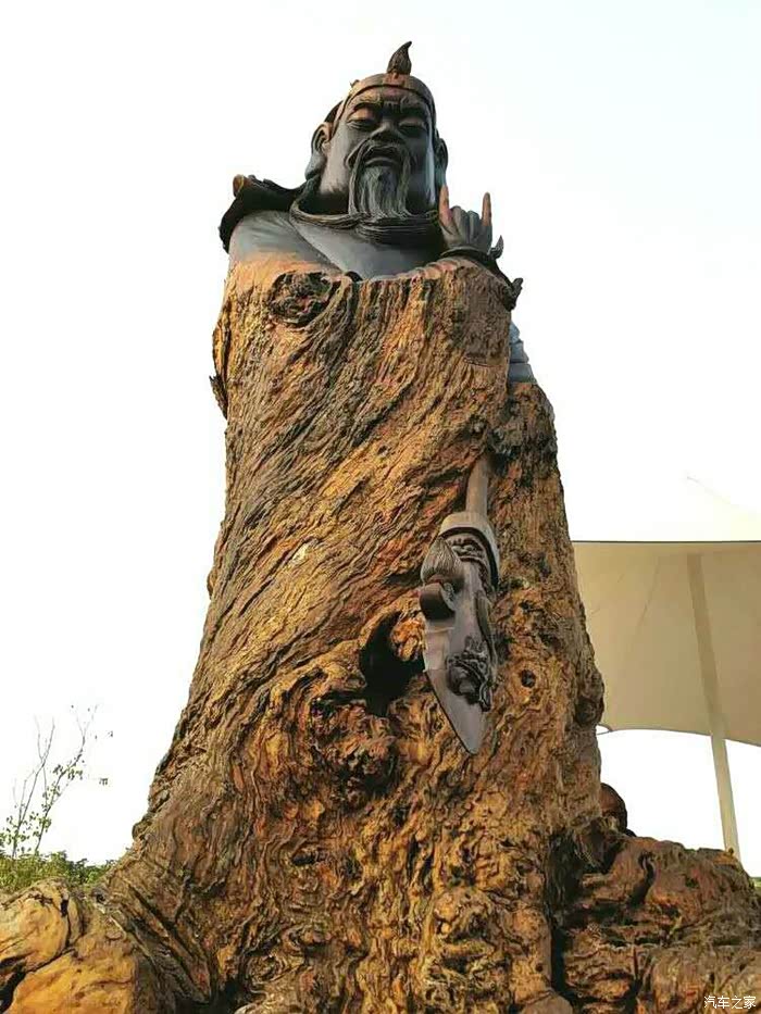 世界名木树雕博览园