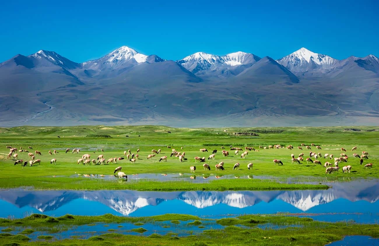 【图】到新疆感受天地之大美吧策马扬鞭共享人世繁华_风景g7论坛_汽车