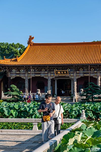 【我的廬山簡約之旅*——*輕輕掠過鐵佛寺與東林寺】