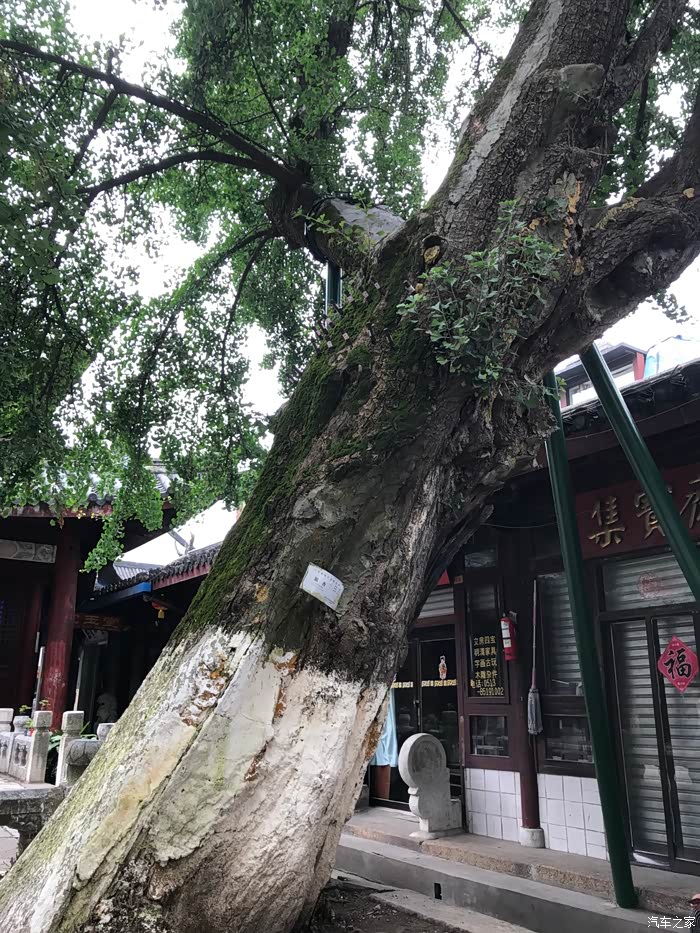 【图】骑着富先达逛南通文庙,传统文化气息扑面而来_摩托车论坛_汽车