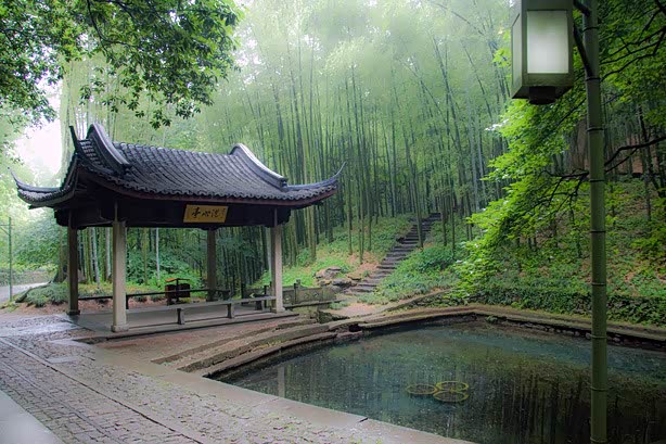 新西湖十景之云栖竹径,位于五云山西面山麓,翠竹成荫