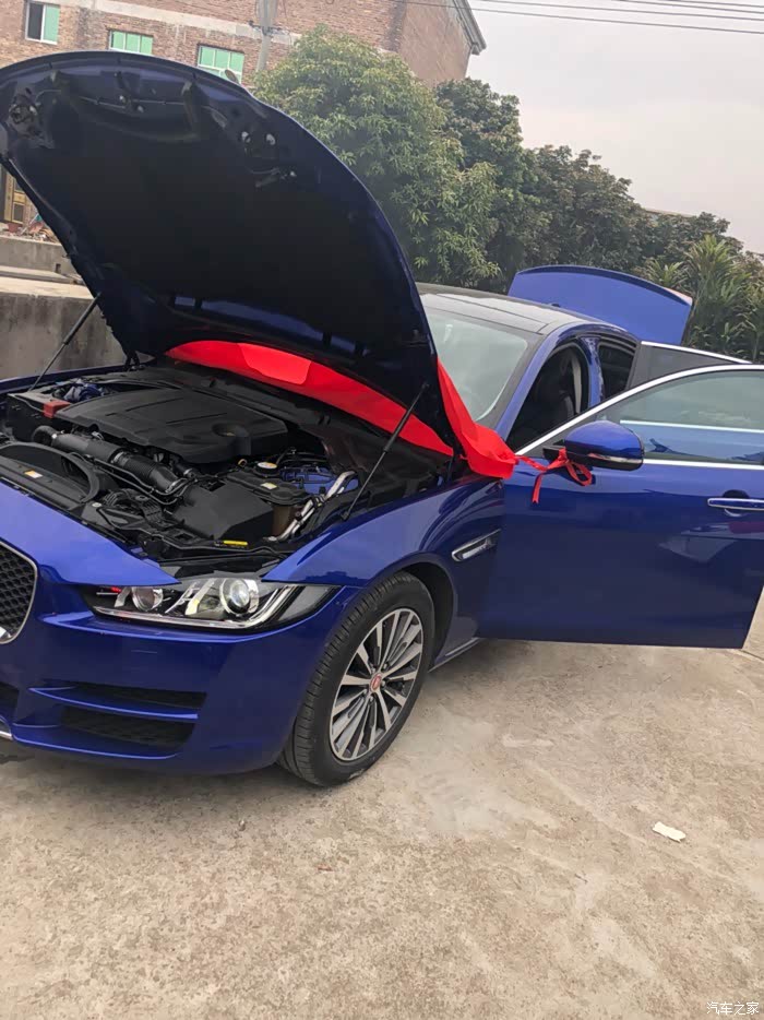 皮皮豹XEL挚爱,1万公里点点滴滴