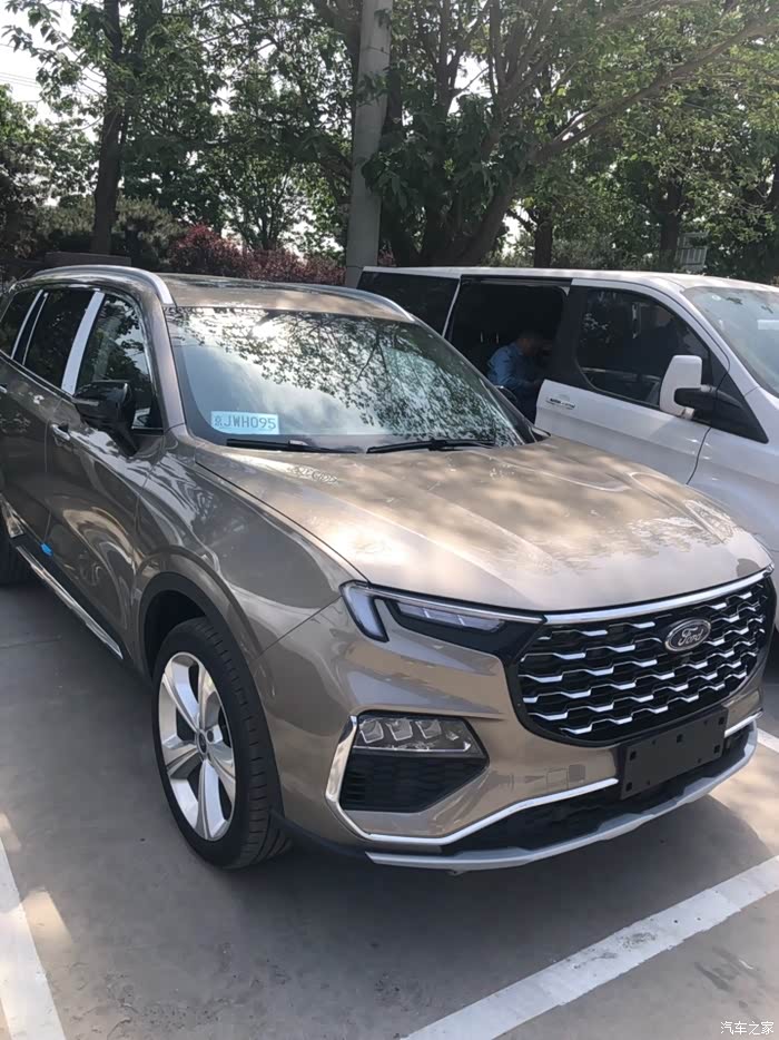 谁有铂光金的照片