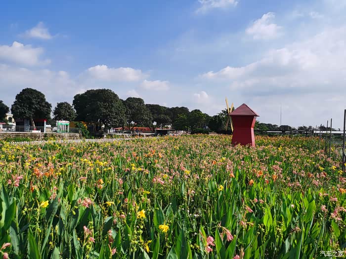 骏客中国夏日鲜果挂满枝头驾驭大白骏去伟丰生态农场摘果去
