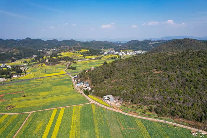 罗平油菜花海观赏地小法郎村