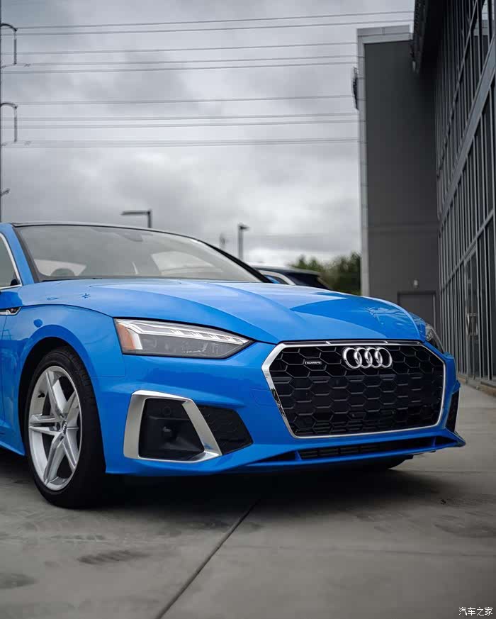 系上礼品丝带的 奥迪a5 turbo blue 蓝色车身