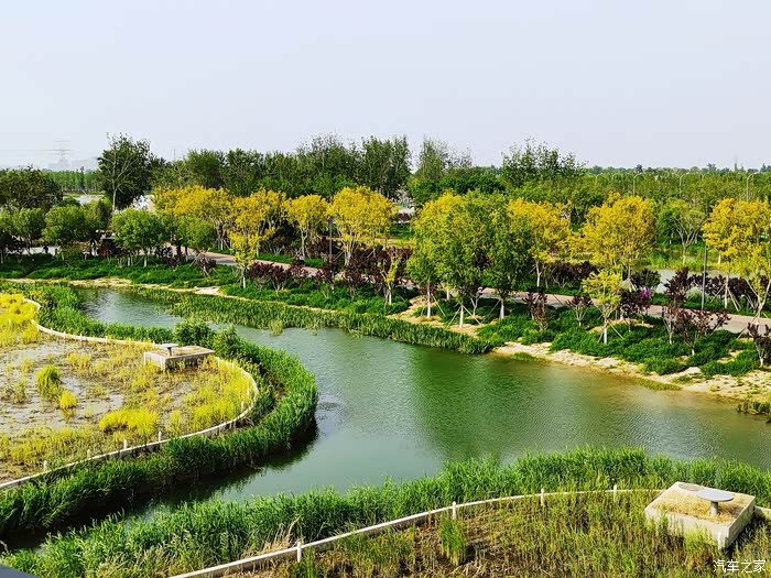 春暖花开绿草如茵打卡北京温榆河郊野公园