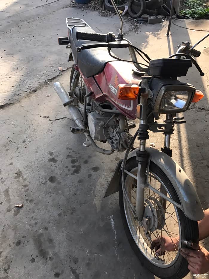 本田鹰仔复活记等待复活中