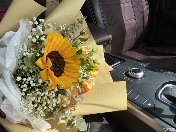 vv5城市穿梭——探索惬意生活之美