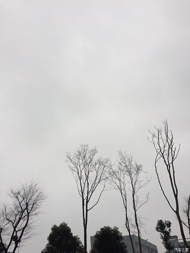 阴雨蒙蒙图片