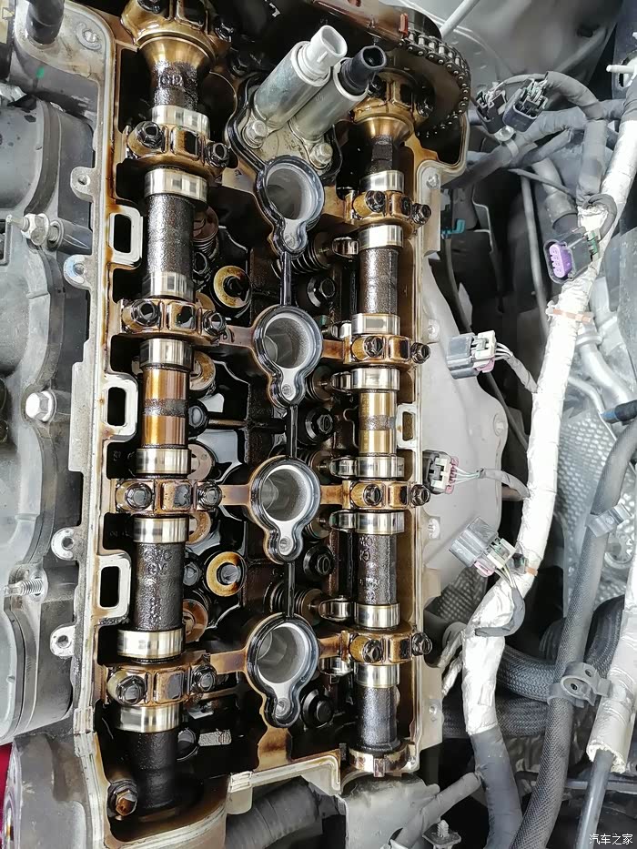 XKTY.COM星空体育-诺亚传说