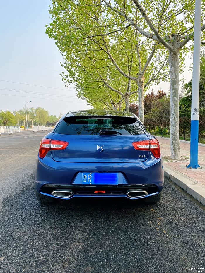 ds5改色交个作业