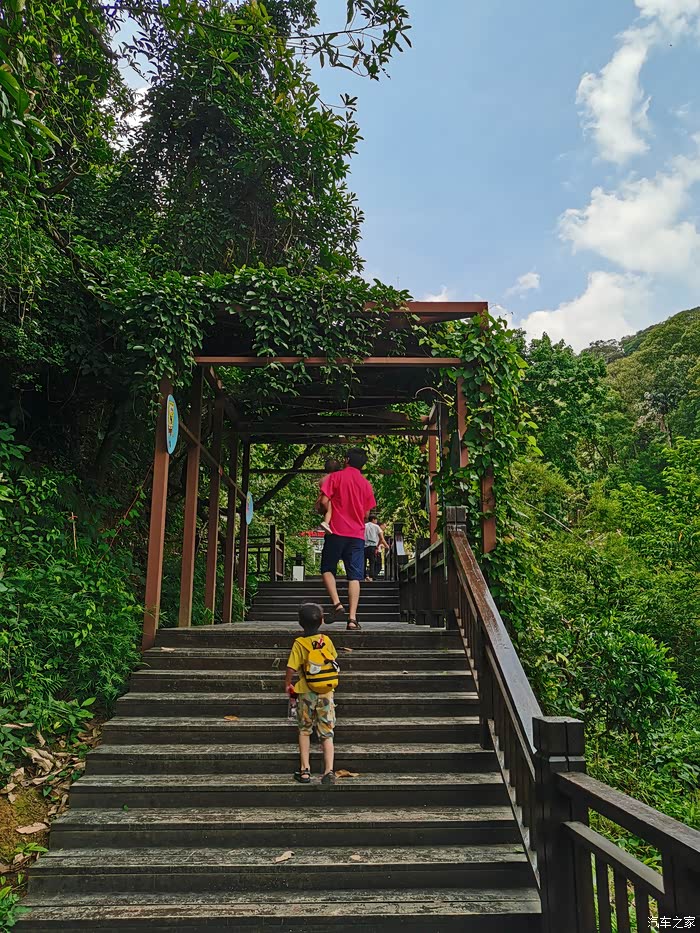 广州周末遛娃好去处天麓湖森林公园