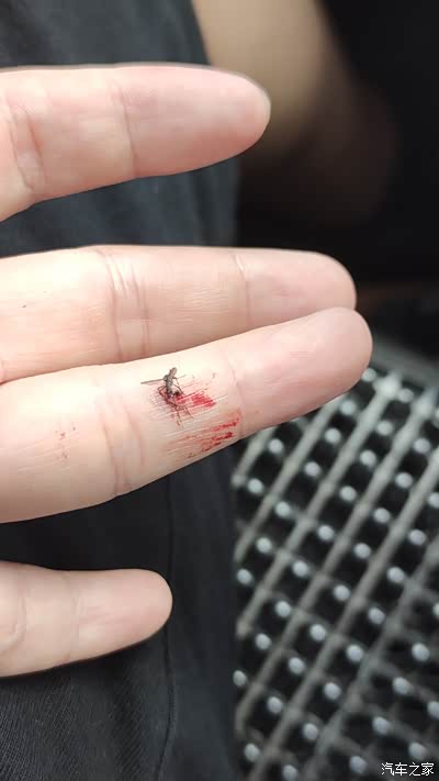 就刚刚,一地血,太惨了.