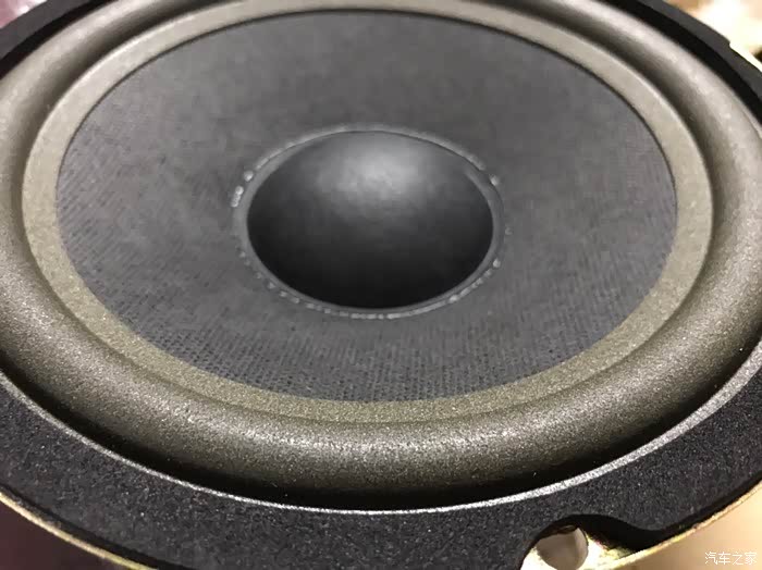 比较少见的双音圈喇叭