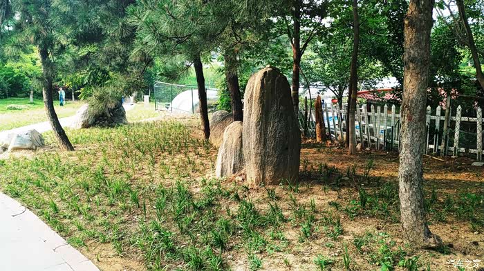 开车去巨力公园游玩