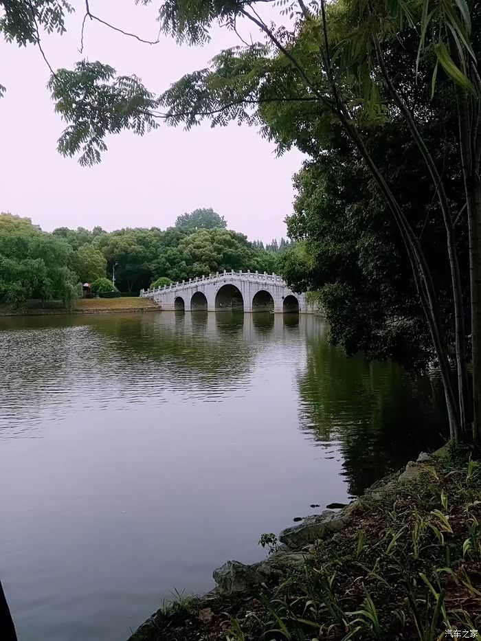 快乐的源泉,源自于我和75雨后漫步五柳公园