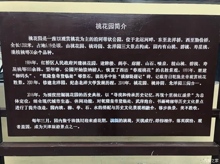 快到桃花节了,带你提前游览桃花堤