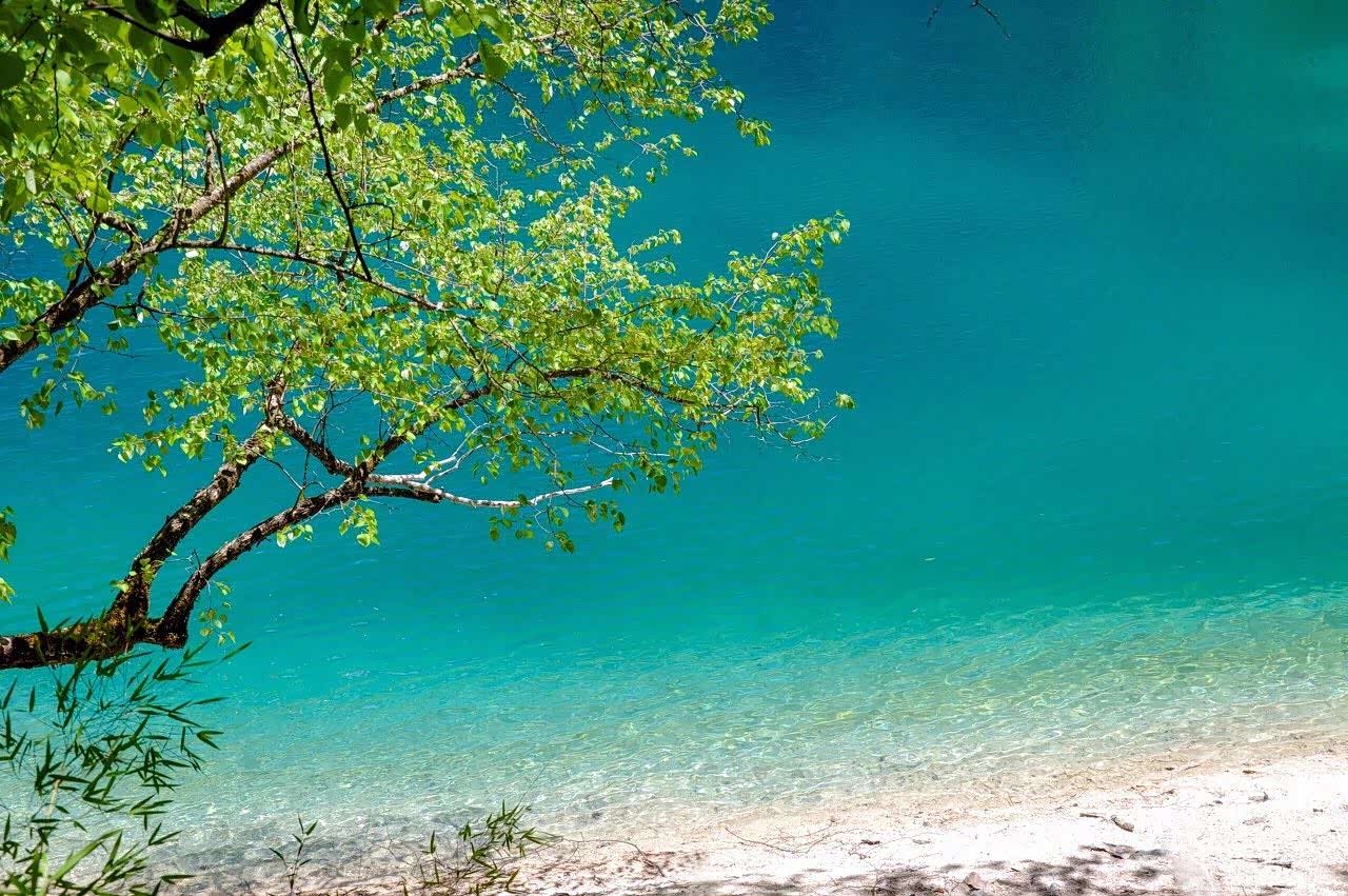 一到春天,九寨沟就美成了人间天堂.