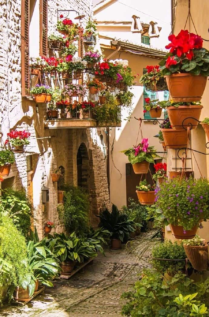 意大利鲜花小镇斯佩罗