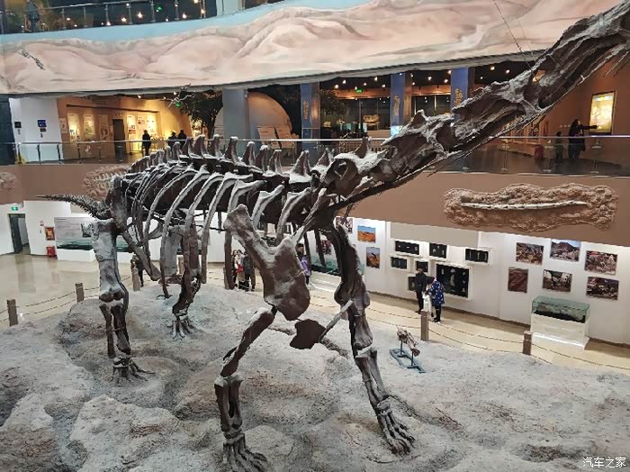 昌吉恐龙馆游玩