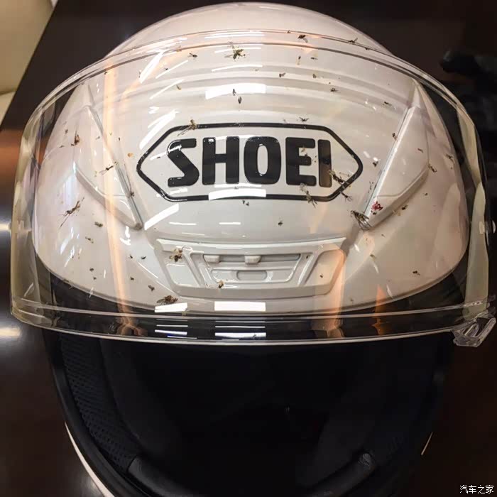 85码,头盔上竟然死了个虫子