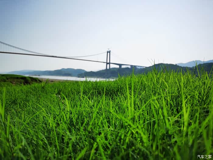 绿绿葱葱的草坪