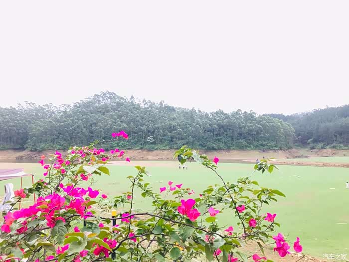 探寻大隆洞湿地公园