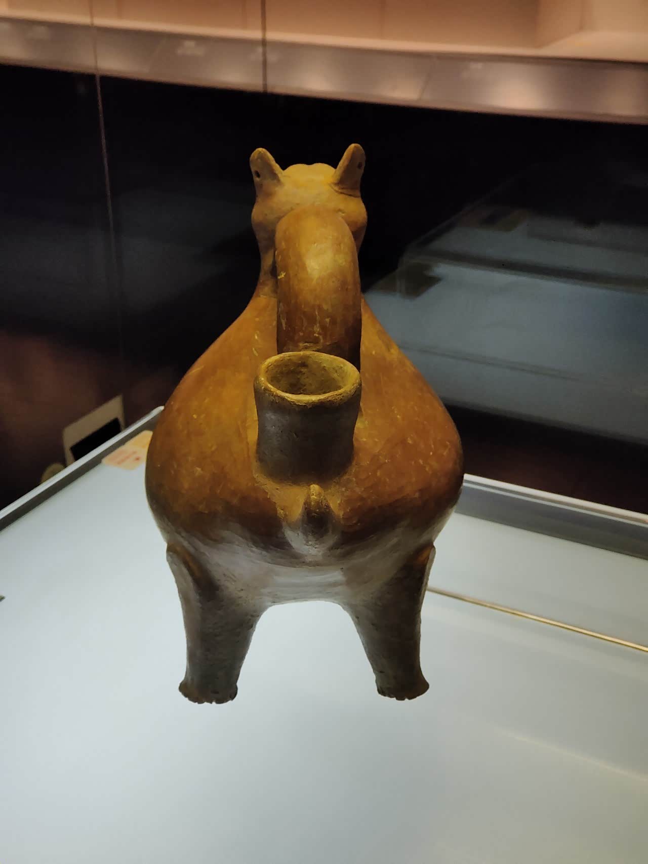 红陶兽形壶,塑造成了小猪的形象,十分可爱.