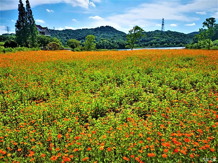 【你好2021】自駕遊覽蕭山臨浦(5)臨浦朝霞,湘湖花海樂迴歸