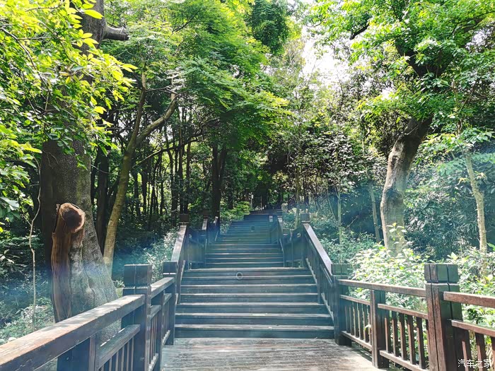 广州周末遛娃好去处天麓湖森林公园
