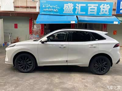 车身侧脸,这样的线条看起来也是霸气