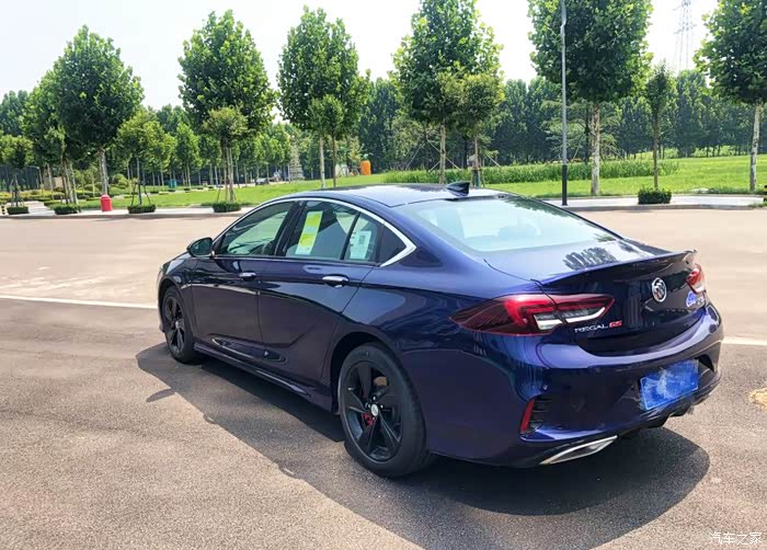 村里最帅的崽,那一抹蓝色,君威gs