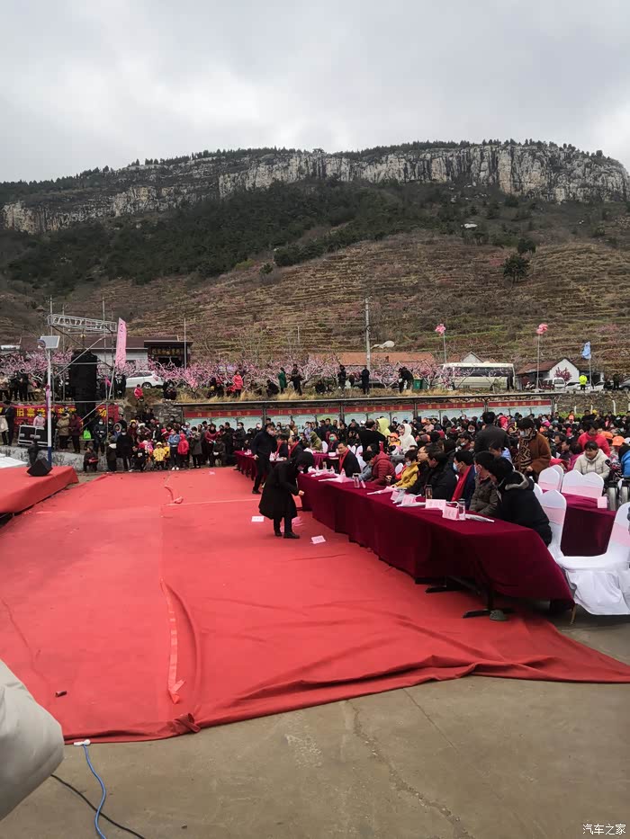 参加沂蒙山旧寨桃花节