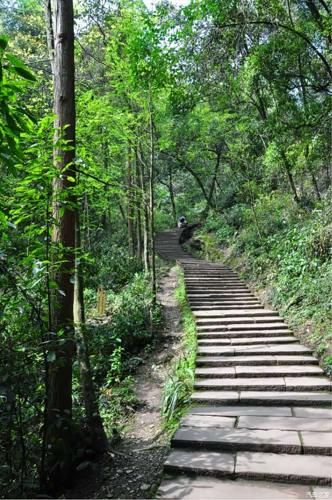 青青都江堰 幽幽青城山