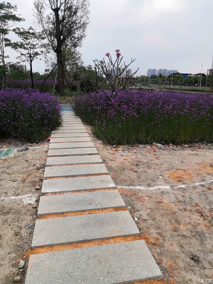 逸动相伴游玩澜石公园