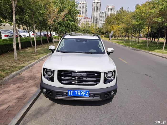 白色是干净大狗是霸气哈弗大狗