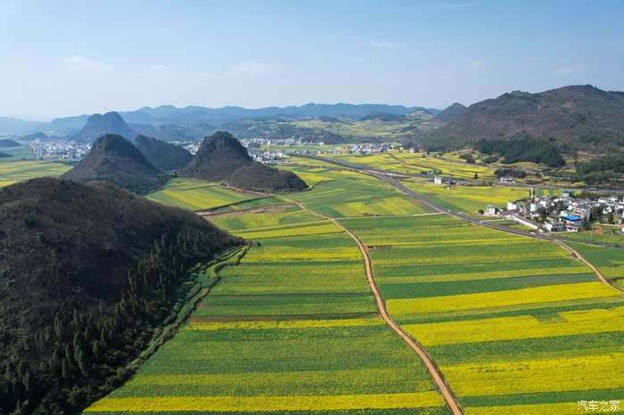 罗平油菜花海观赏地小法郎村