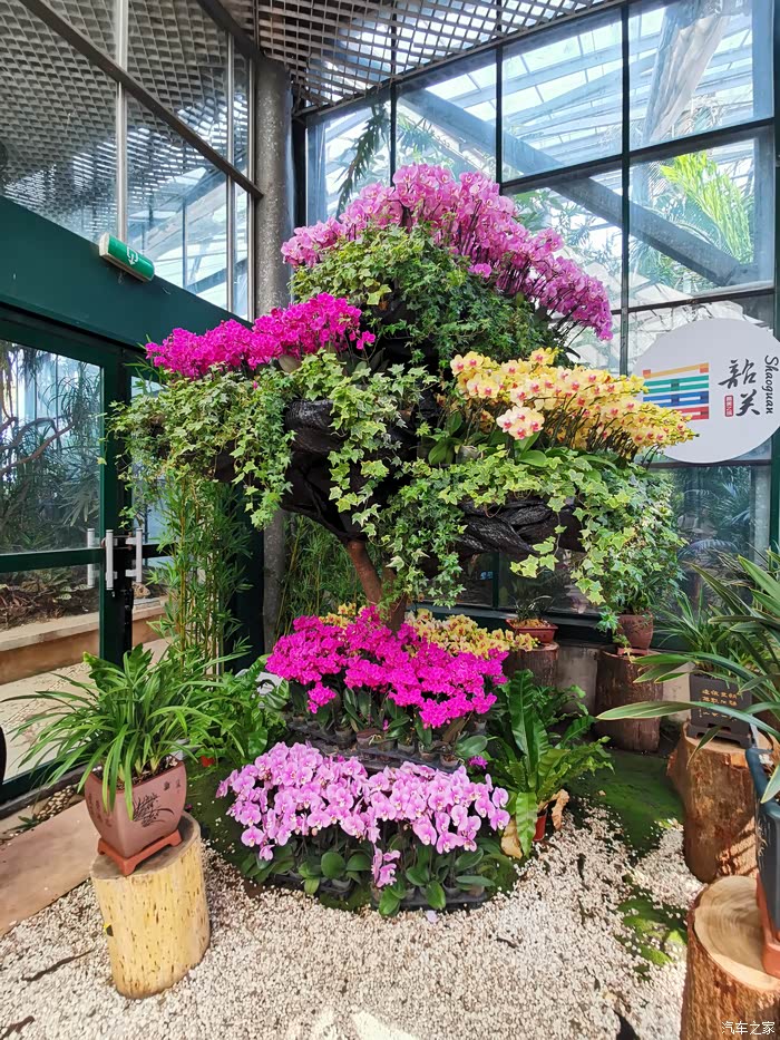 天然氧吧——华南植物园