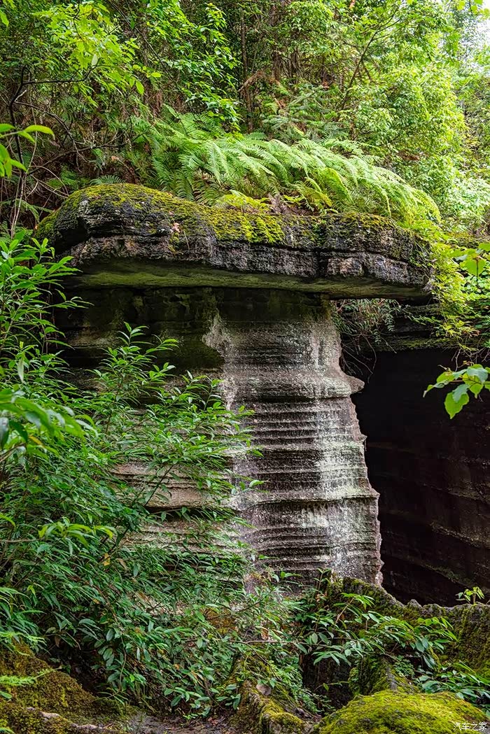 恩施梭布垭石林,四亿六千万年锻造的传奇