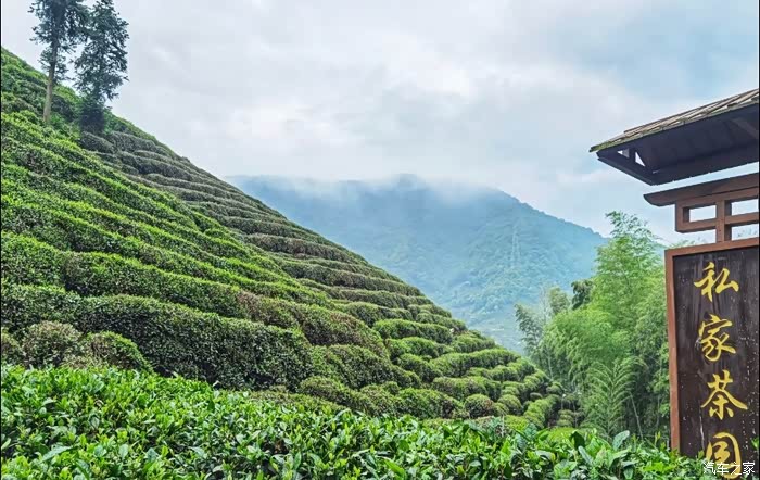 自驾荣威rx5max打卡龙坞茶村