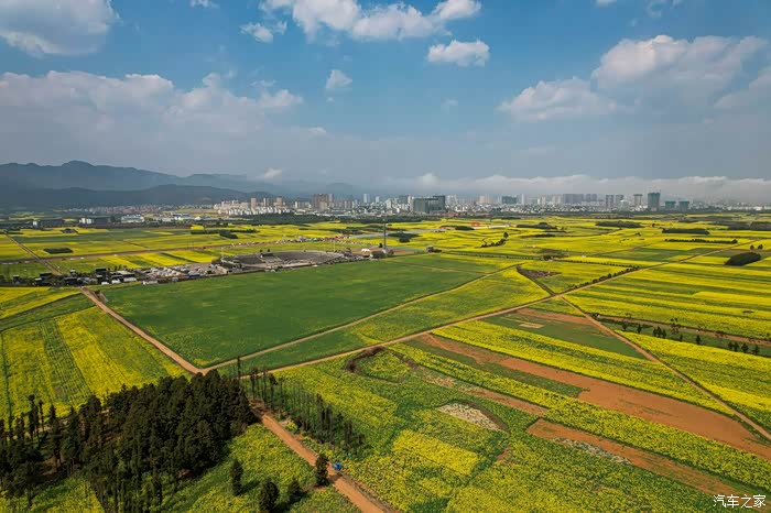 【图】"国际油菜花文化旅游节主会场"罗平油菜花观赏地_四川论坛_汽车
