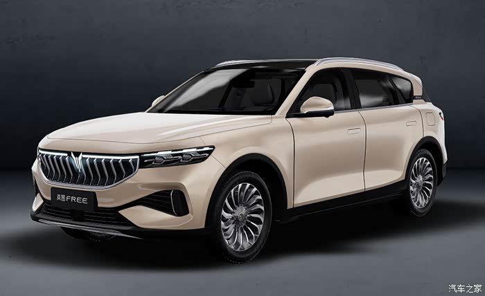 建议岚图free调整_岚图free论坛_汽车之家论坛