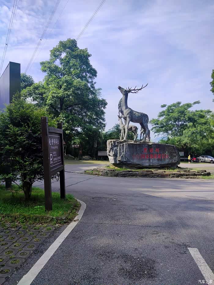 端午节长沙黑麋峰国家森林公园自驾游