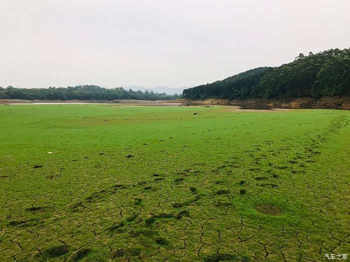 探寻大隆洞湿地公园