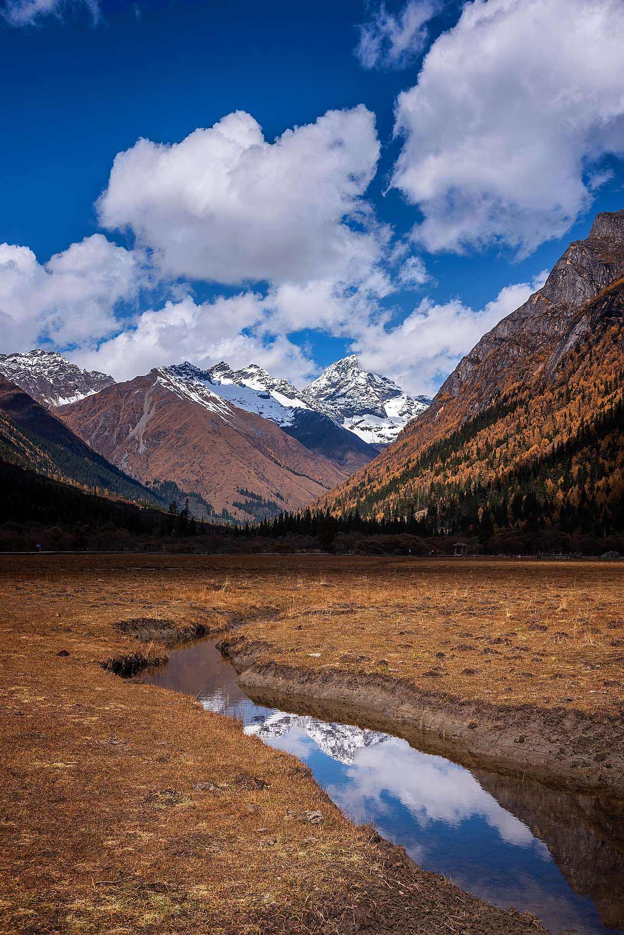 喜歡那如夢似幻高山流水絕景意境畫面,好美