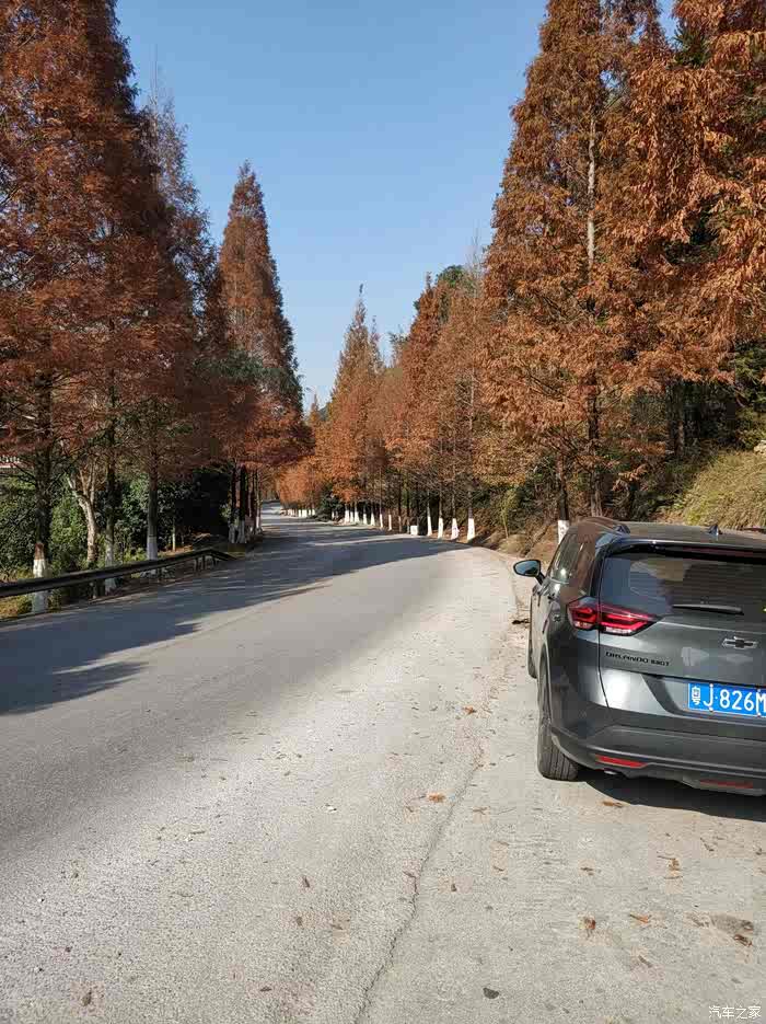 321国道广成线阳溯段美景